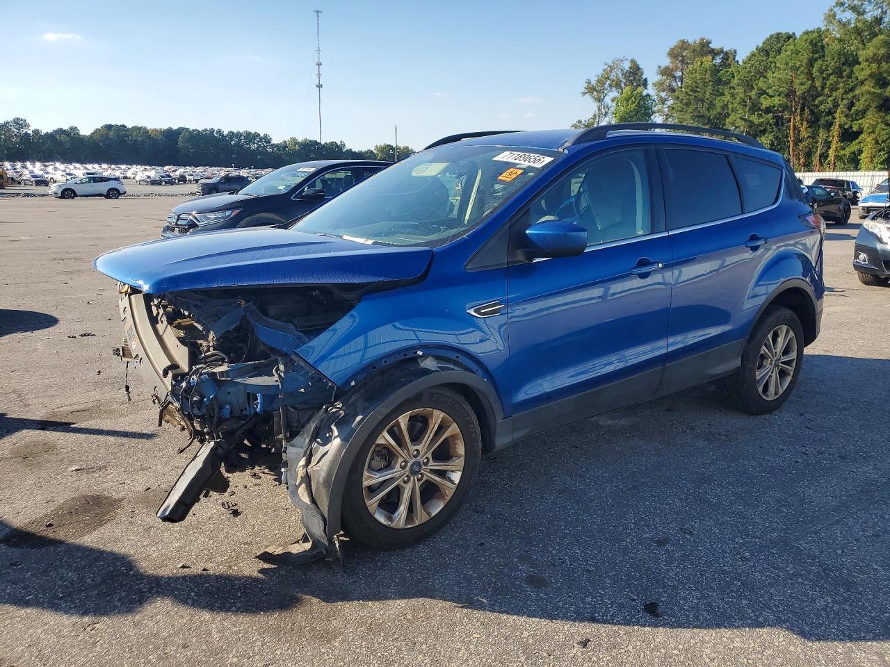 lot