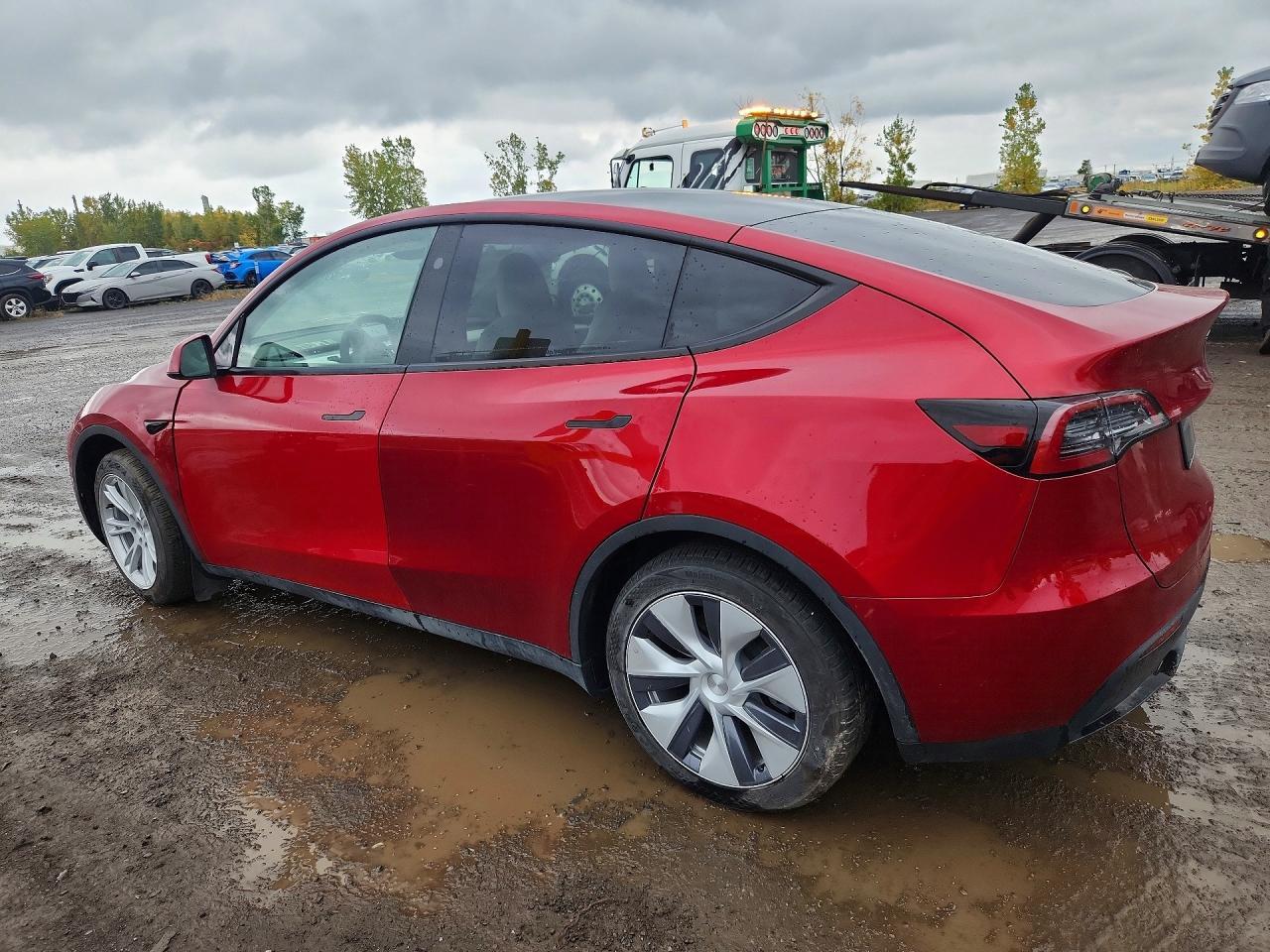2024 Tesla Model Y - Фото 2