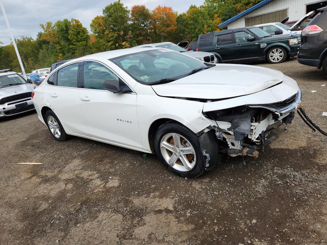 2019 Chevrolet Malibu Ls - Фото 4