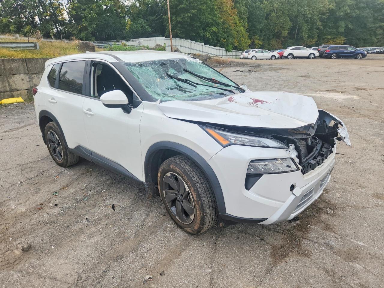 2024 Nissan Rogue Sv - Фото 4