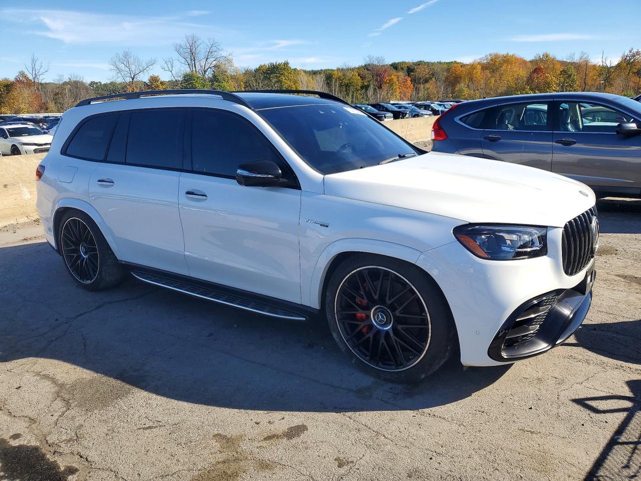 2025 Mercedes-Benz Gls 63 Amg 4Matic - Фото 4