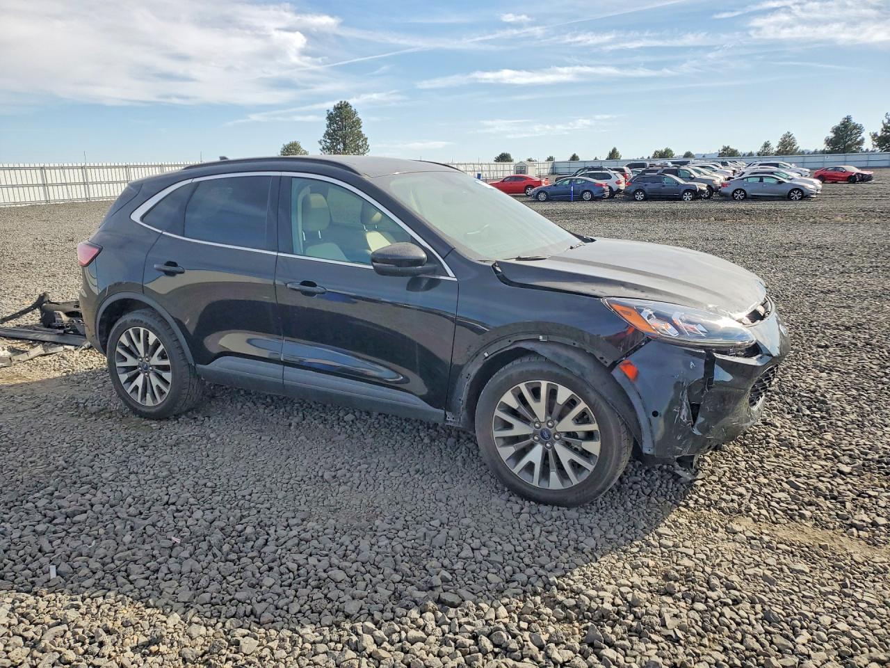 2020 Ford Escape Titanium - Image 4