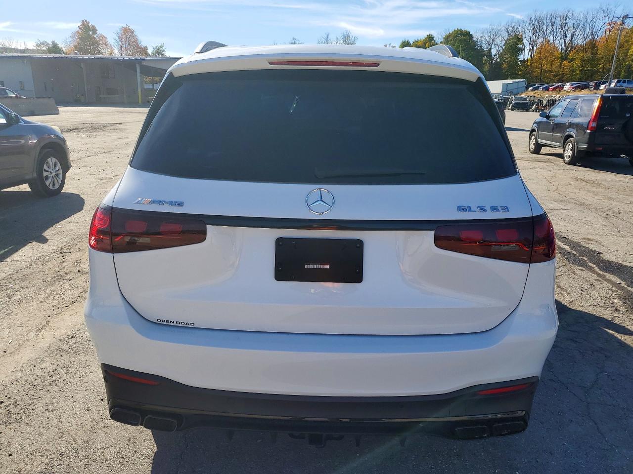 2025 Mercedes-Benz Gls 63 Amg 4Matic - Фото 6