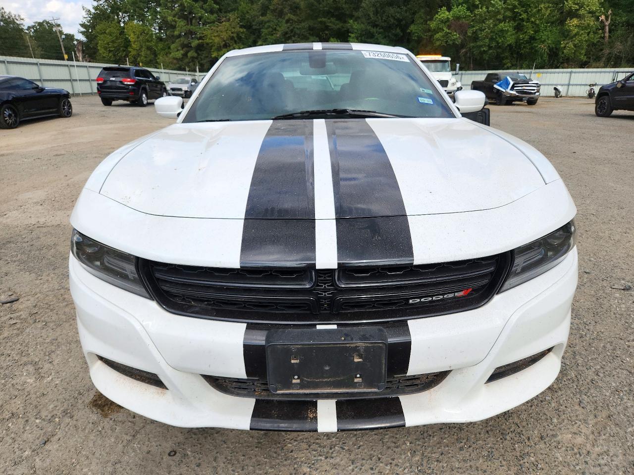 2020 Dodge Charger Sxt - Фото 5