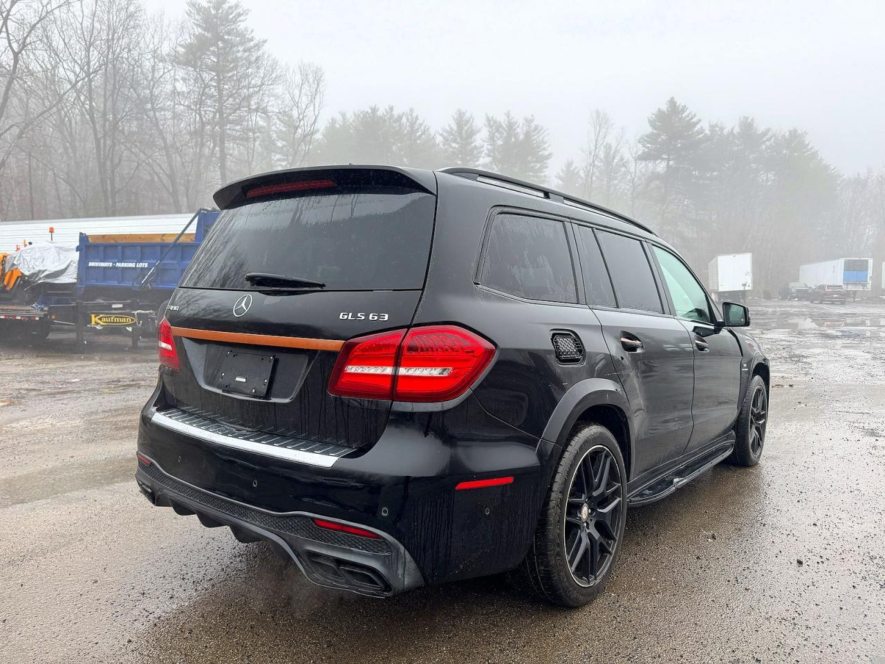 2017 Mercedes-Benz Gls 63 Amg 4Matic - Фото 3