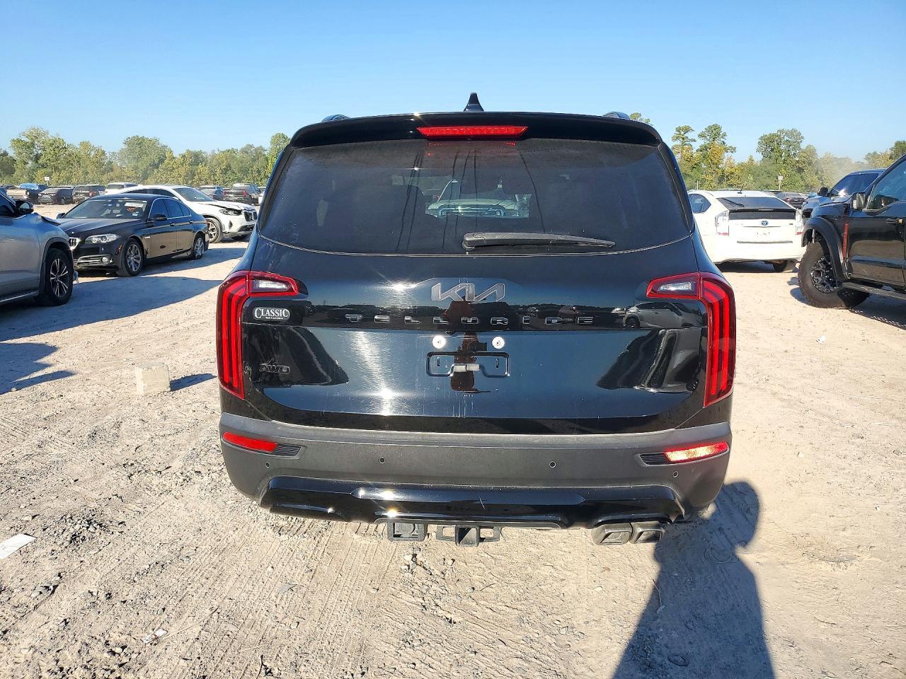2022 Kia Telluride Sx - Image 6