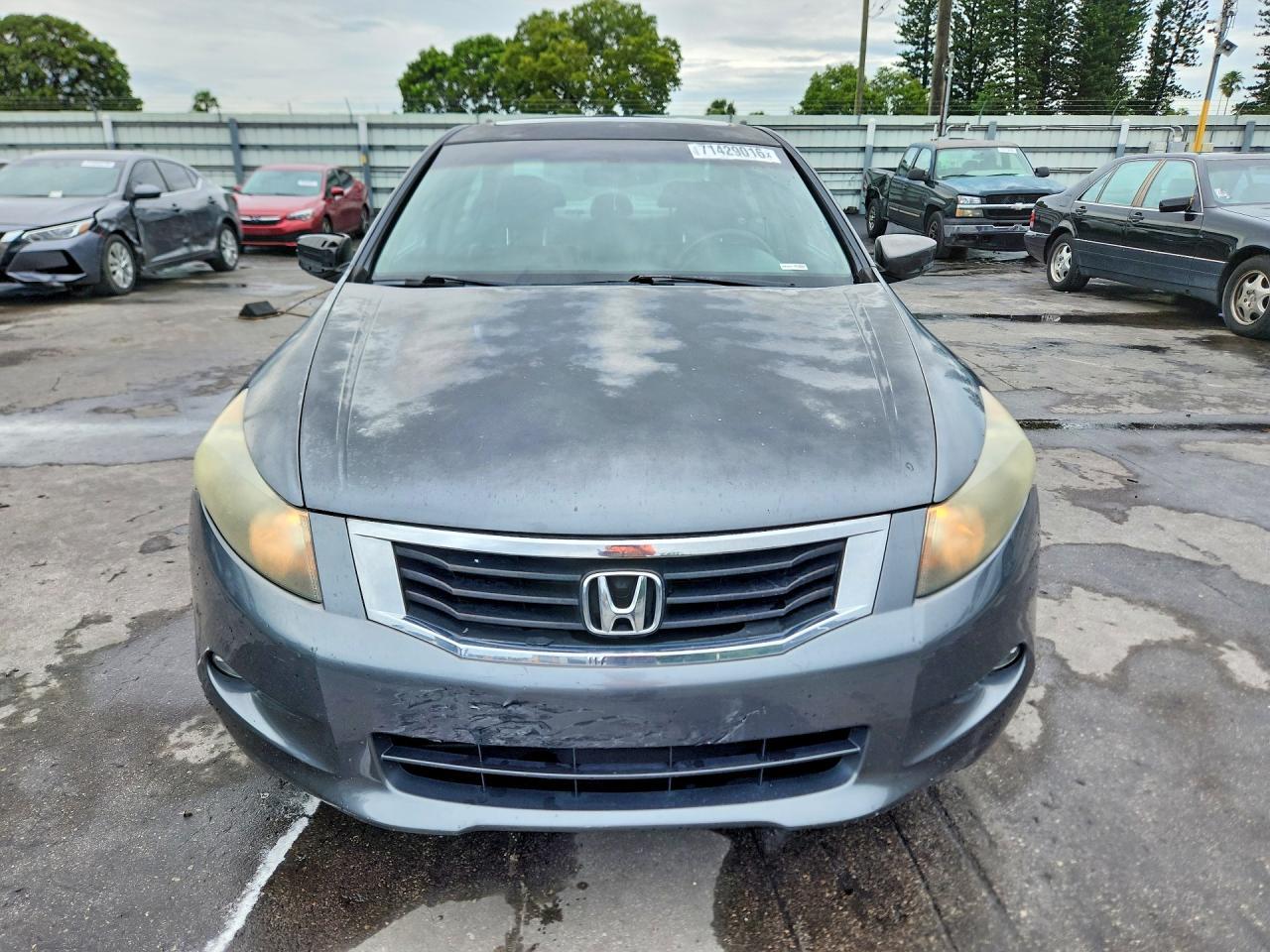 2010 Honda Accord Exl - Image 5