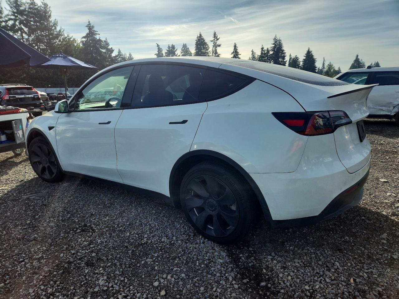 2021 Tesla Model Y - Фото 2