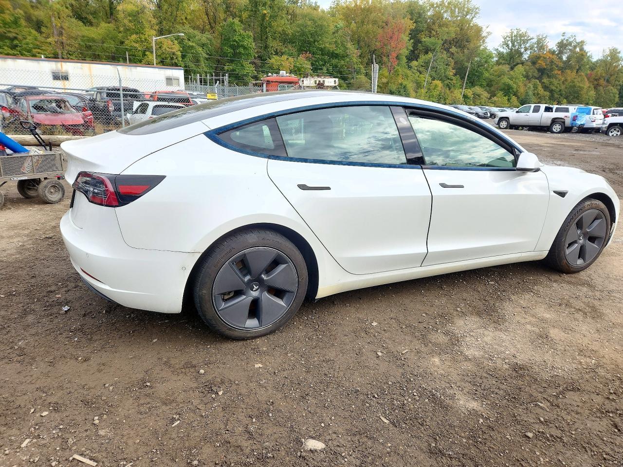 2021 Tesla Model 3 - Фото 3