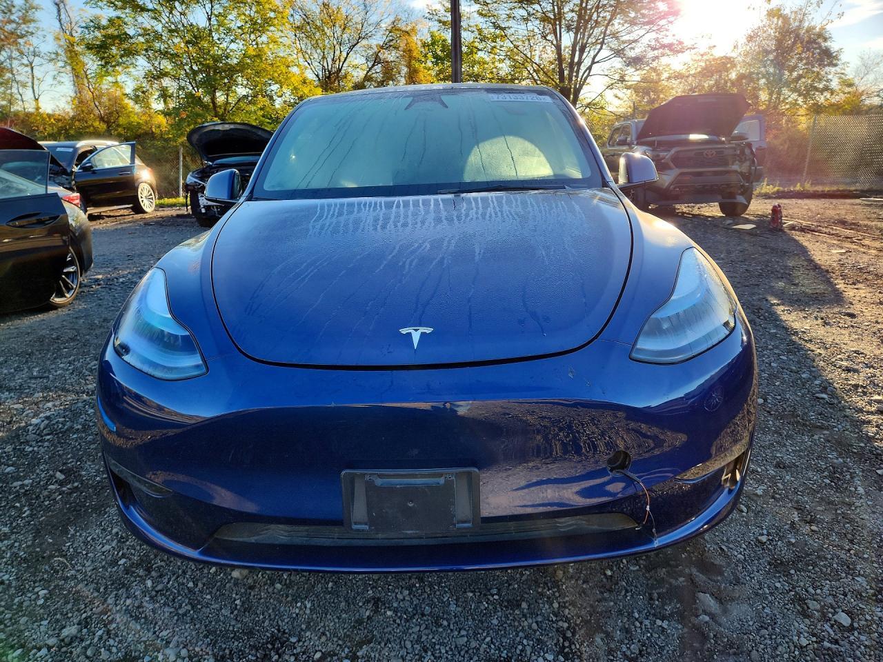 2025 Tesla Model Y - Фото 5