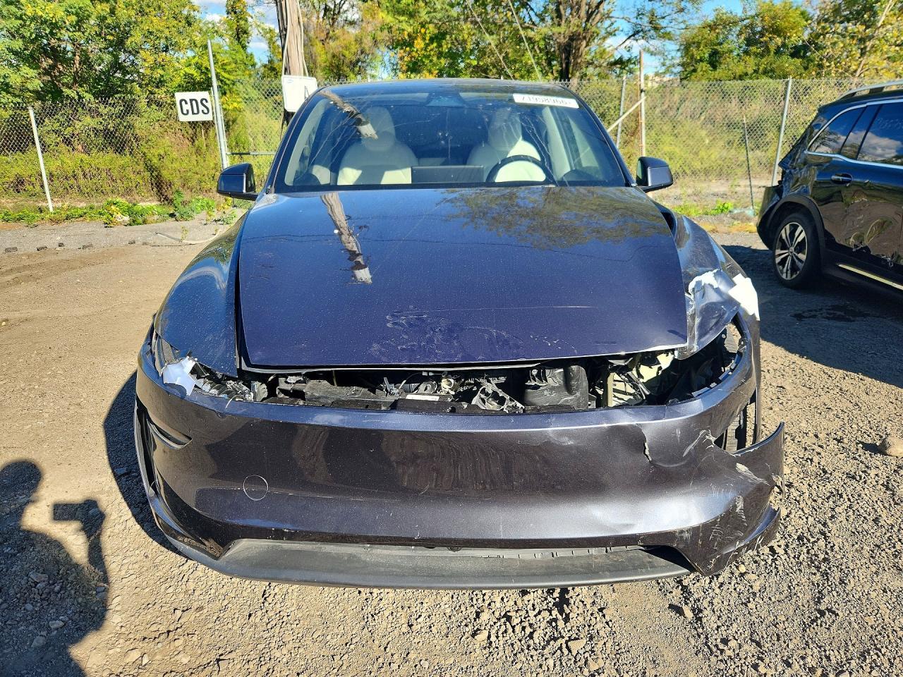 2026 Tesla Model Y - Фото 5