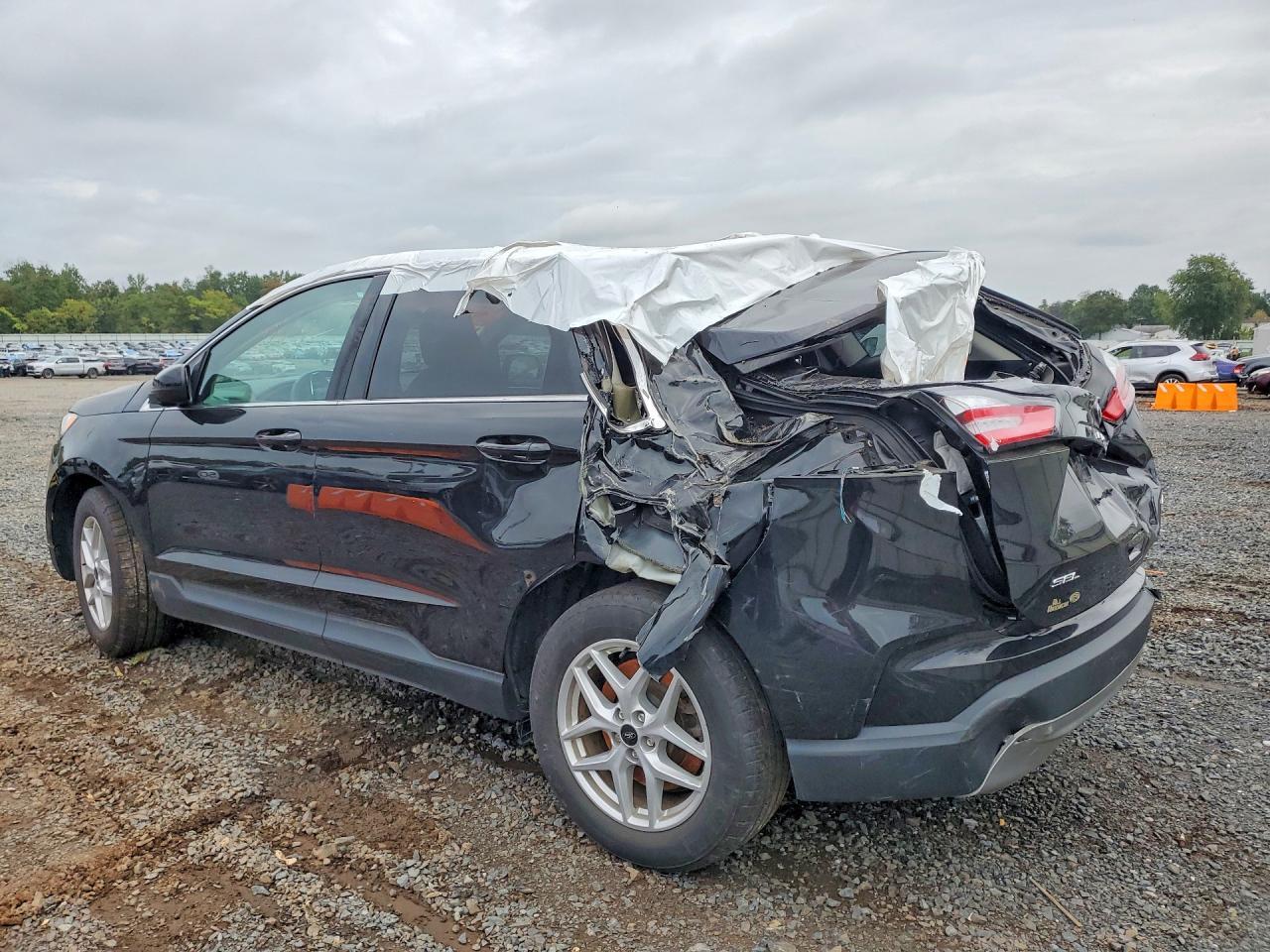 2024 Ford Edge Sel - Фото 2