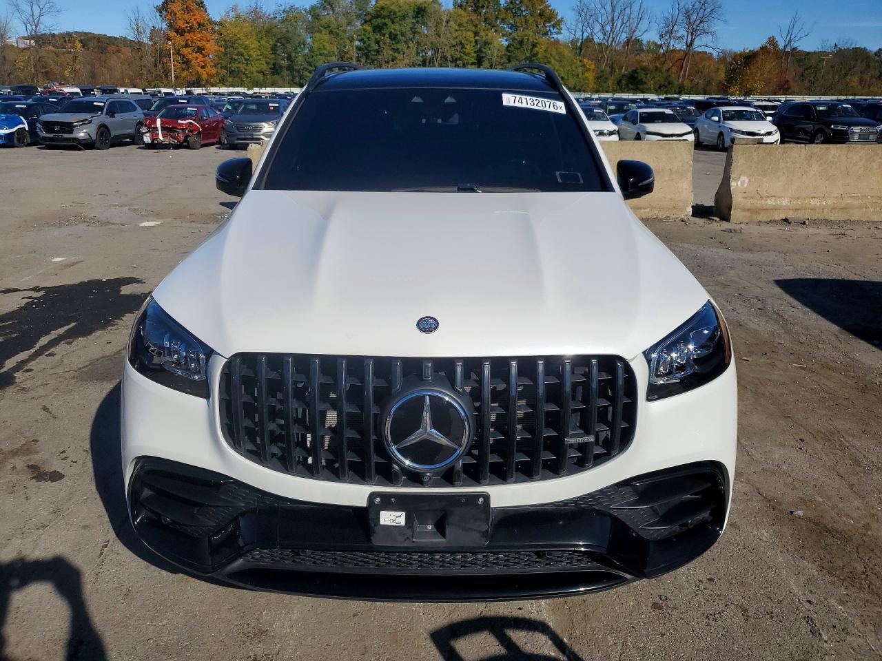 2025 Mercedes-Benz Gls 63 Amg 4Matic - Фото 5