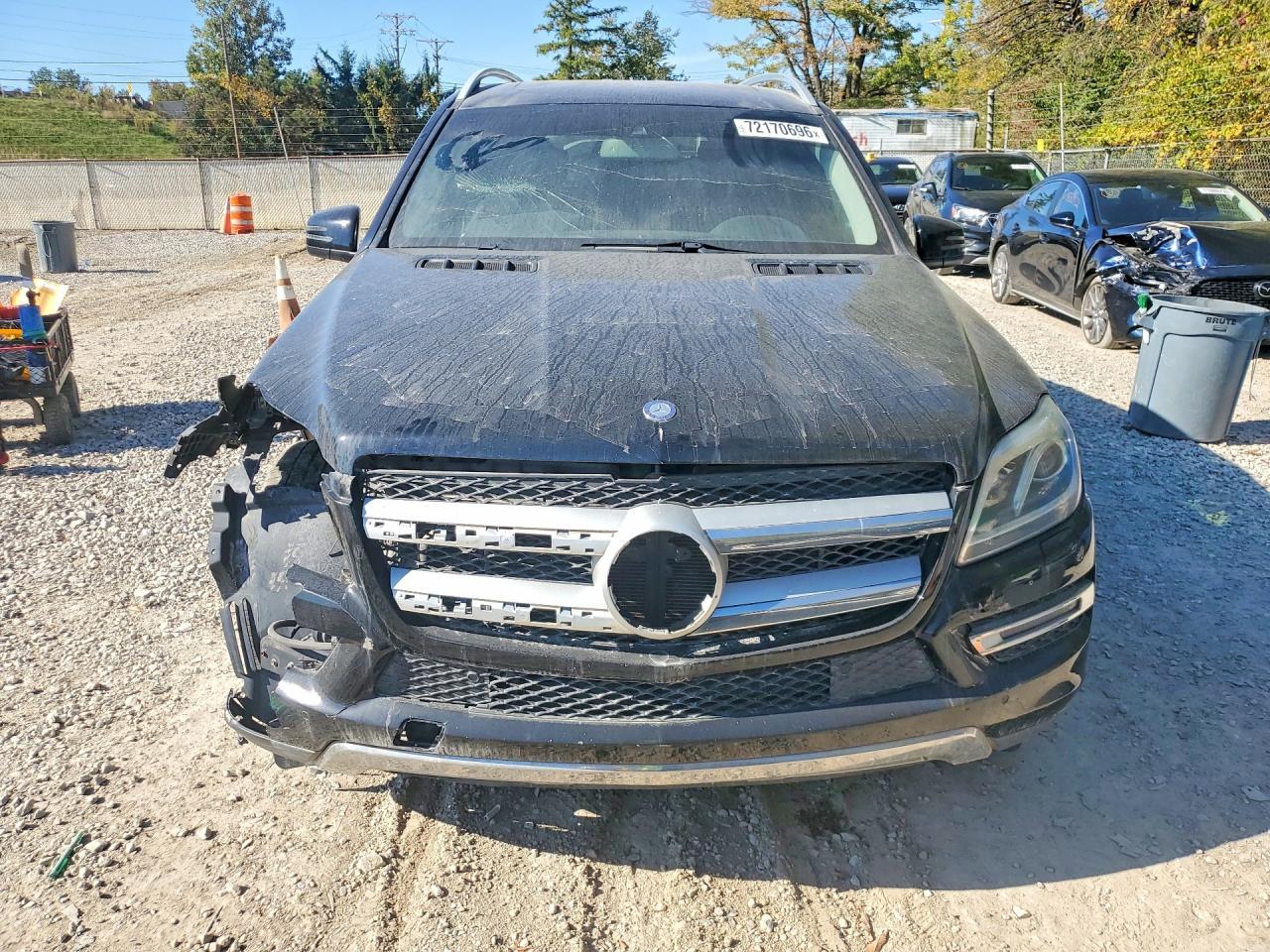 2014 Mercedes-Benz Gl 450 4Matic - Фото 5