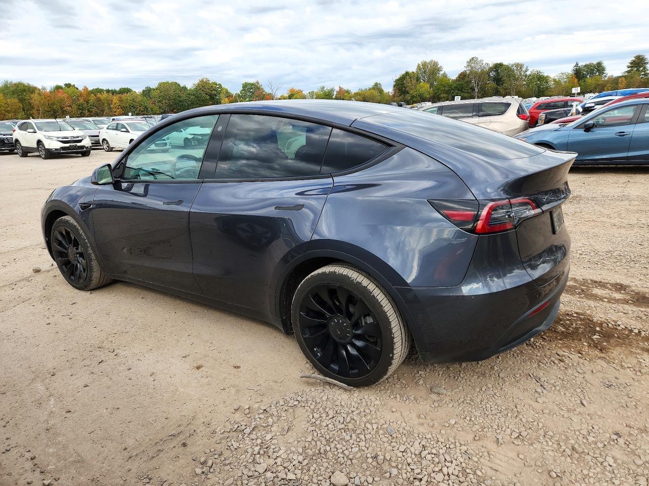 2022 Tesla Model Y - Фото 2