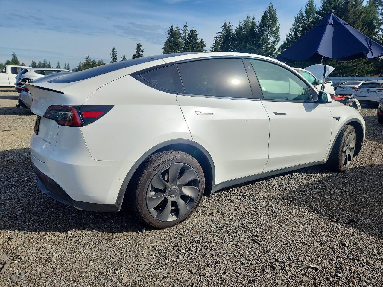2021 Tesla Model Y - Фото 3