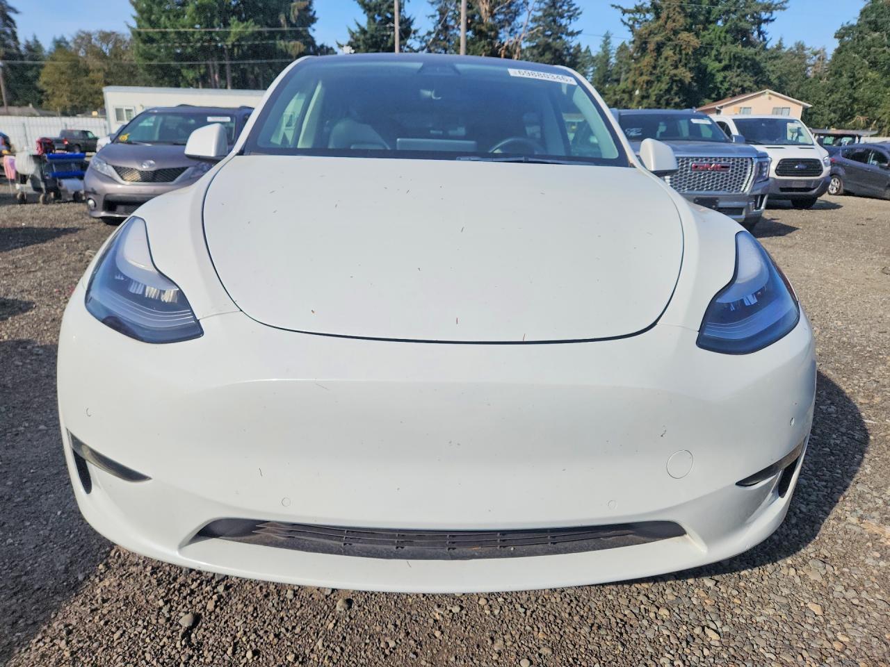 2021 Tesla Model Y - Фото 5
