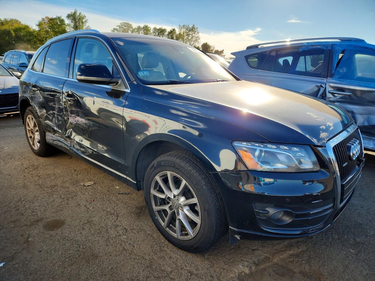2010 Audi Q5 Premium Plus - Фото 4