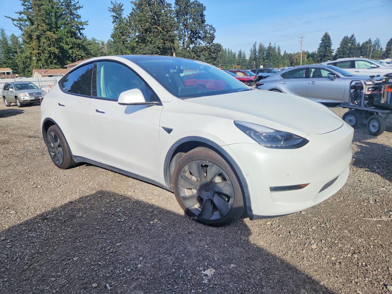 2021 Tesla Model Y - Фото 4