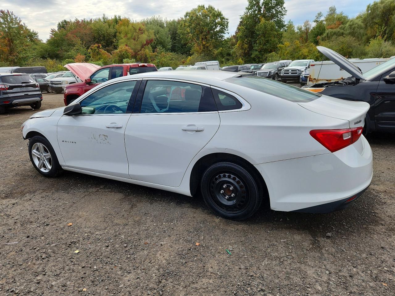 2019 Chevrolet Malibu Ls - Фото 2