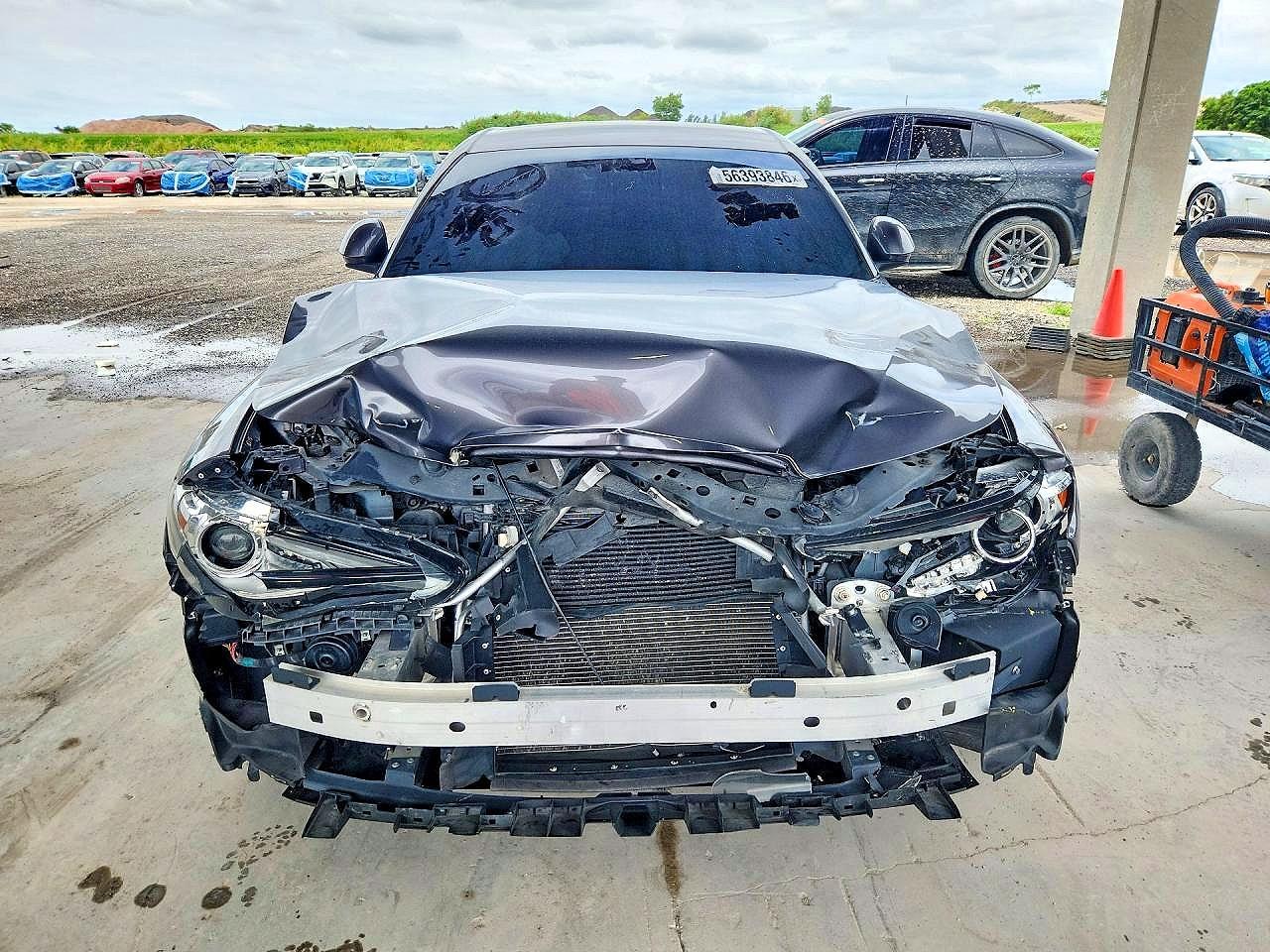 2019 Alfa Romeo Giulia - Фото 5