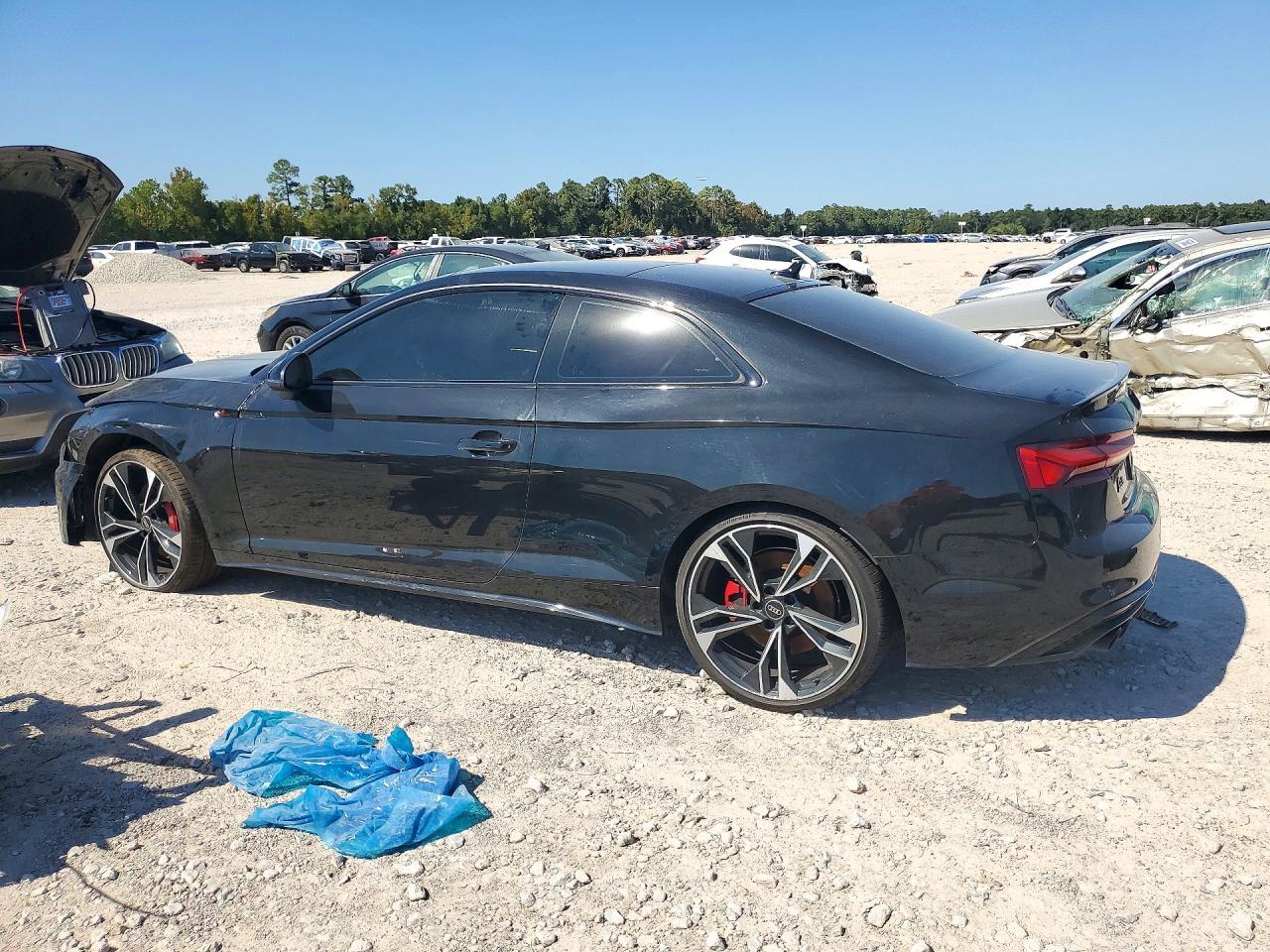2023 Audi S5 Premium Plus - Фото 2