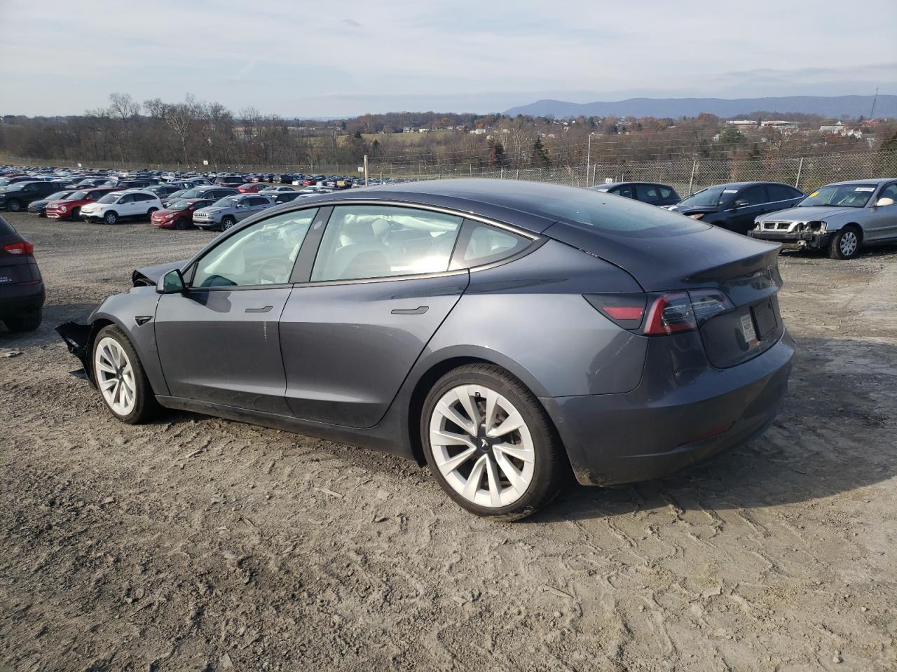 2021 Tesla Model 3 - Фото 2