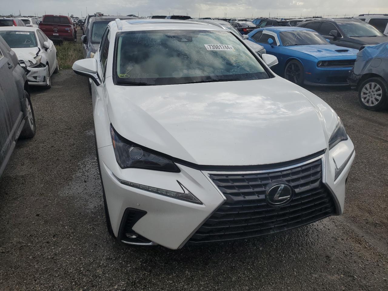 2020 Lexus Nx 300 - Фото 5