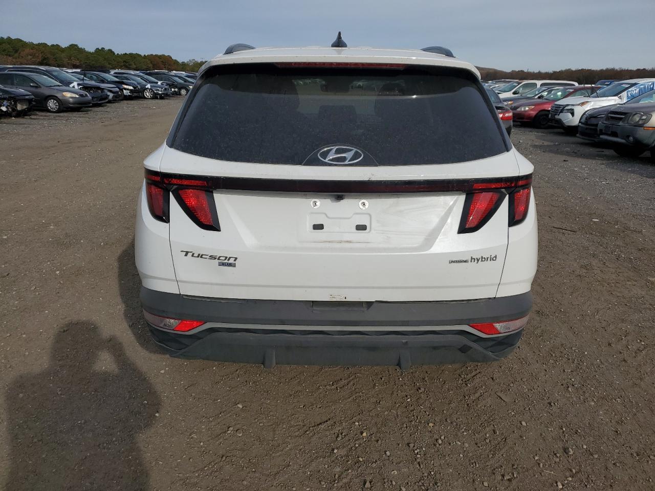 2024 Hyundai Tucson Blue - Фото 6
