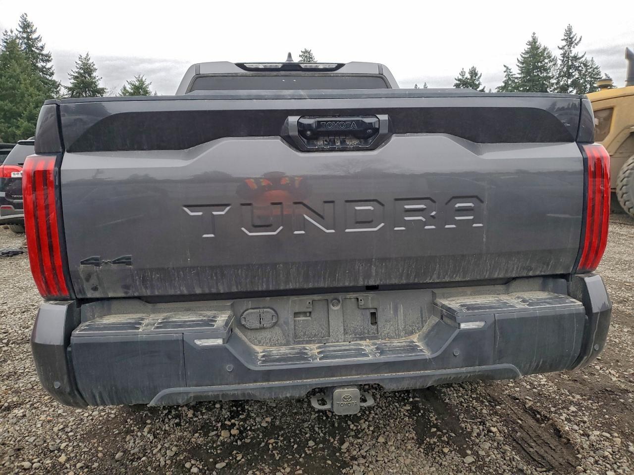 2024 Toyota Tundra Crewmax Limited - Фото 6