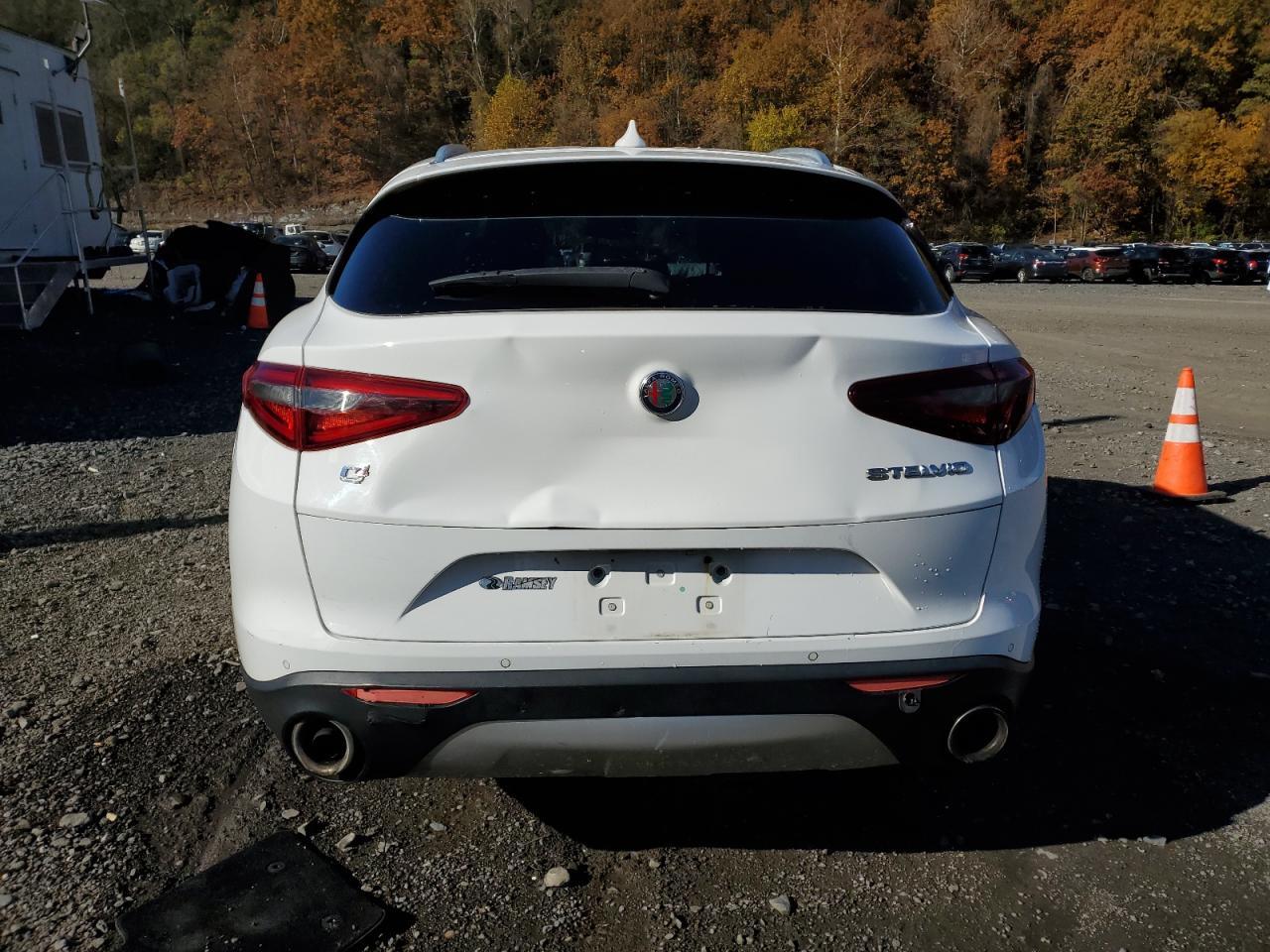 2018 Alfa Romeo Stelvio - Фото 6