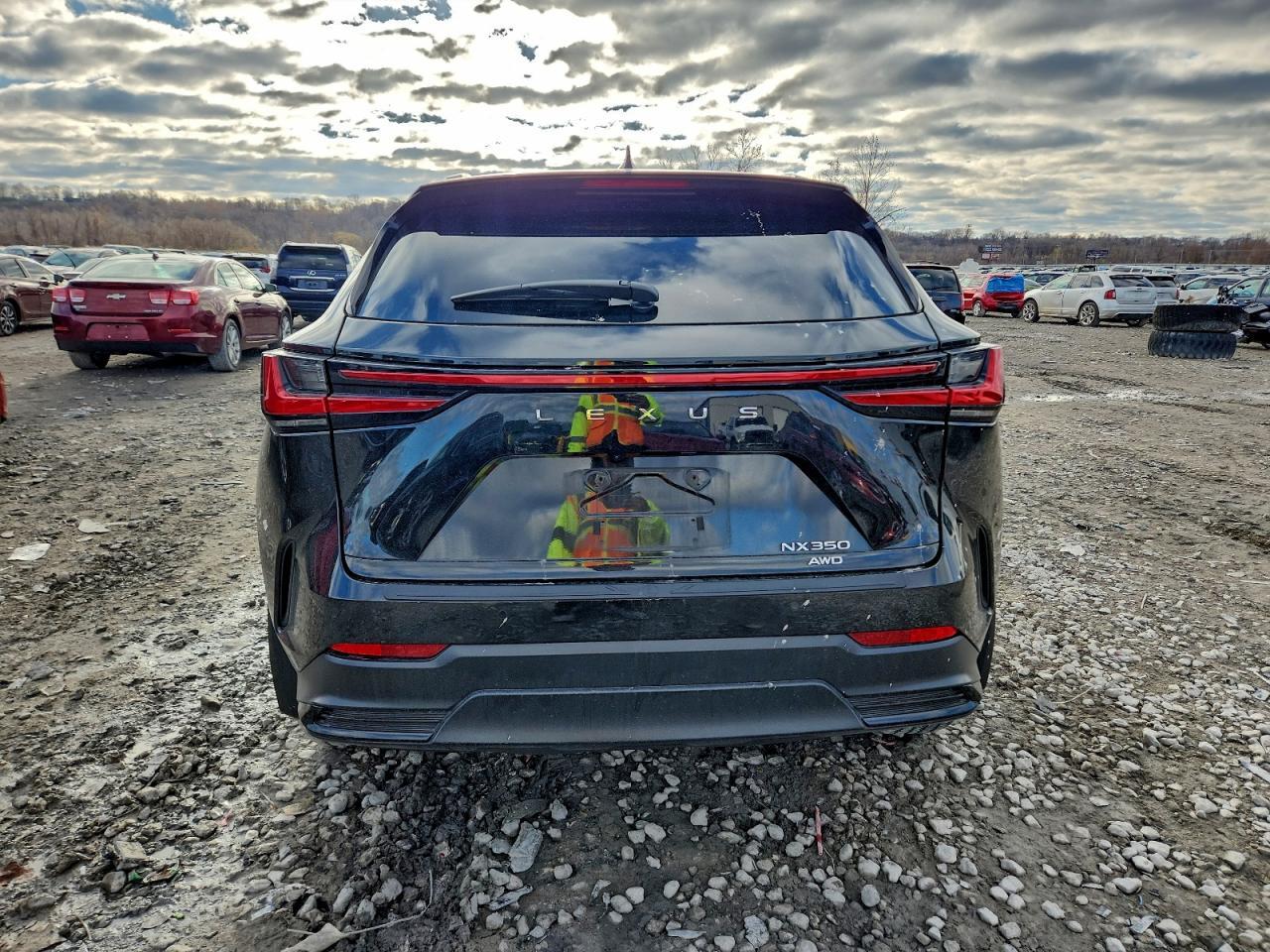 2024 Lexus Nx 350 Premium - Фото 6