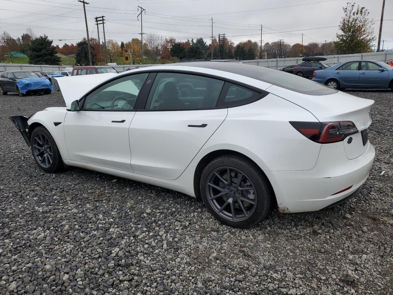 2021 Tesla Model 3 - Фото 2