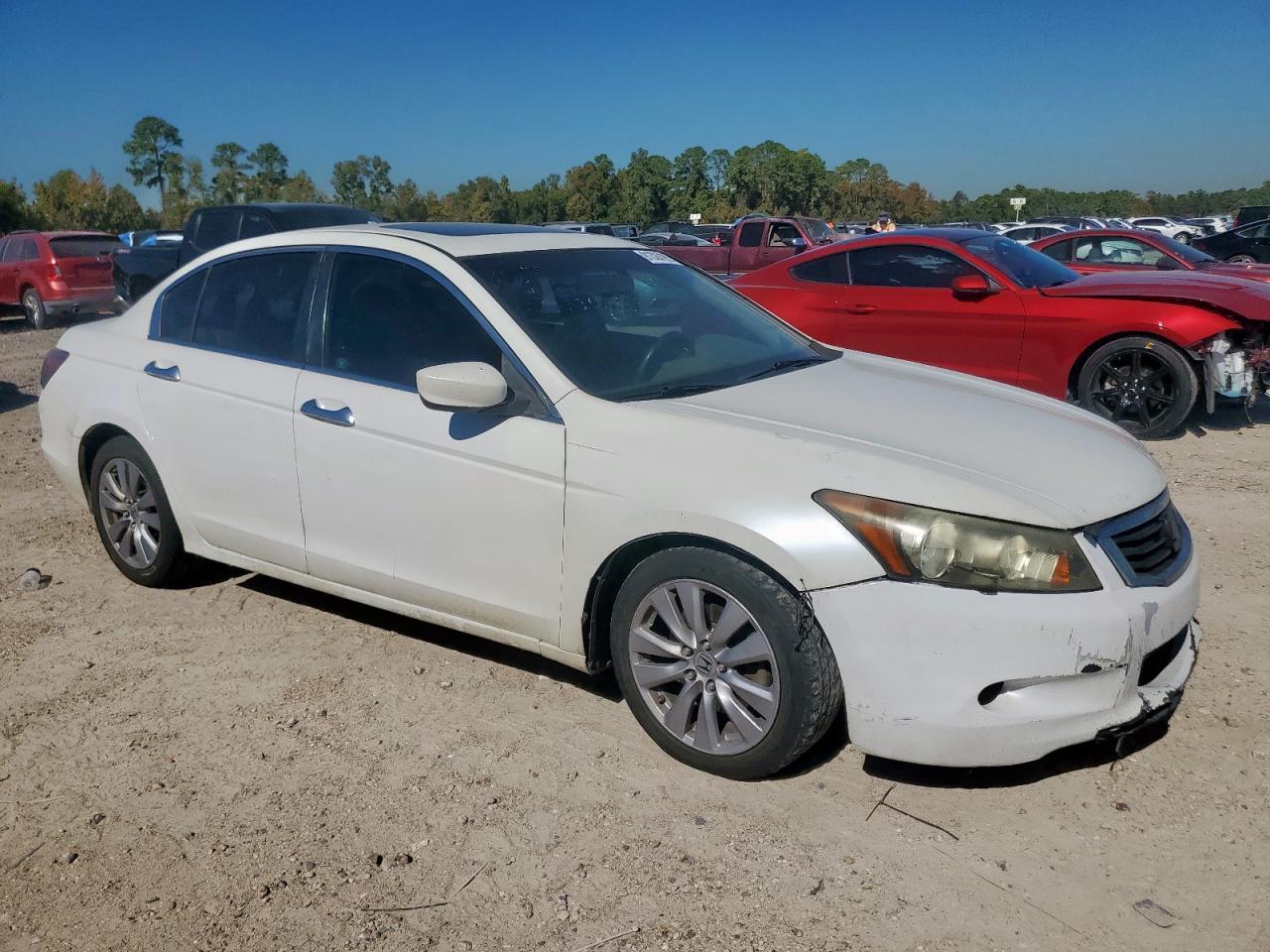 2009 Honda Accord Exl - Фото 4