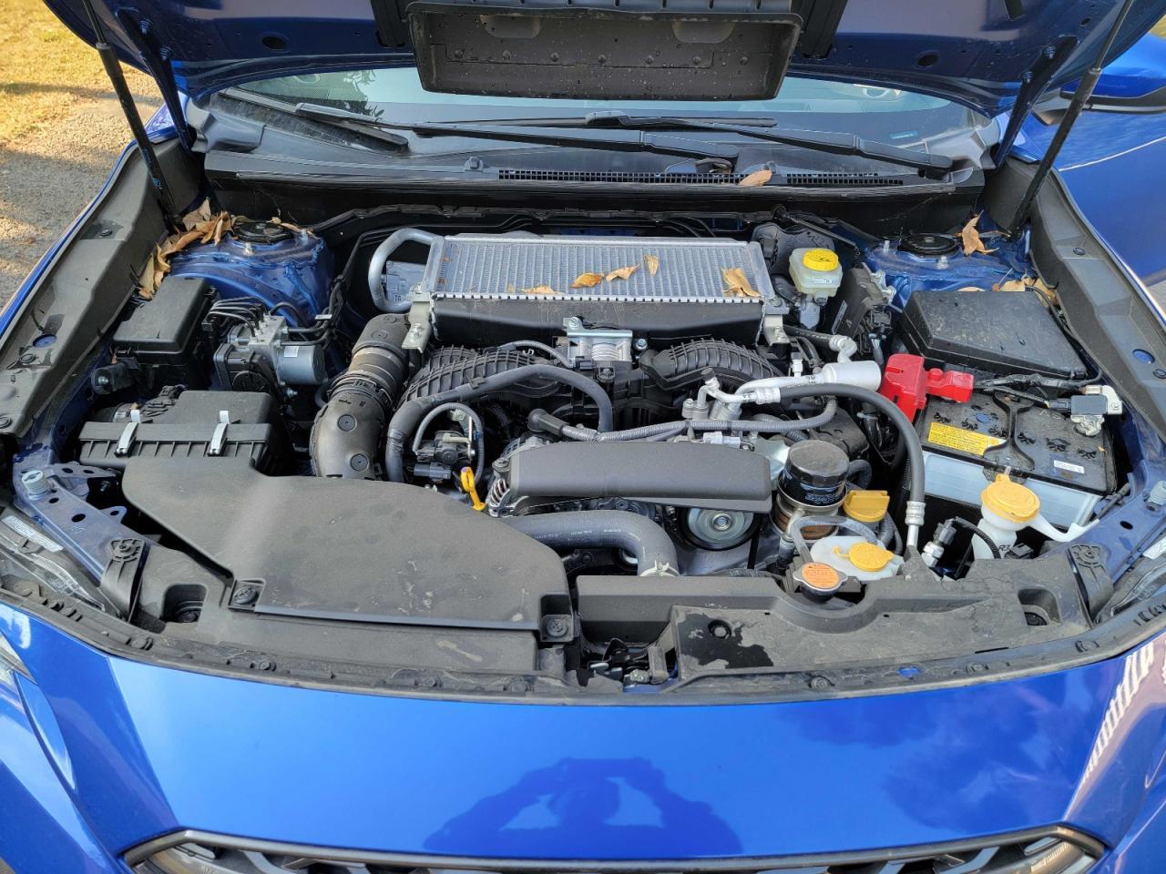 2023 Subaru Wrx Premium - Фото 7