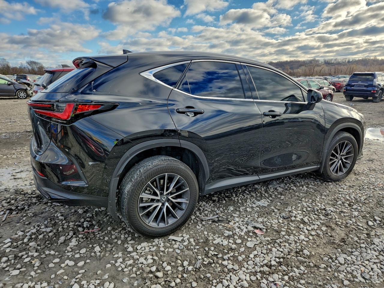 2024 Lexus Nx 350 Premium - Фото 3