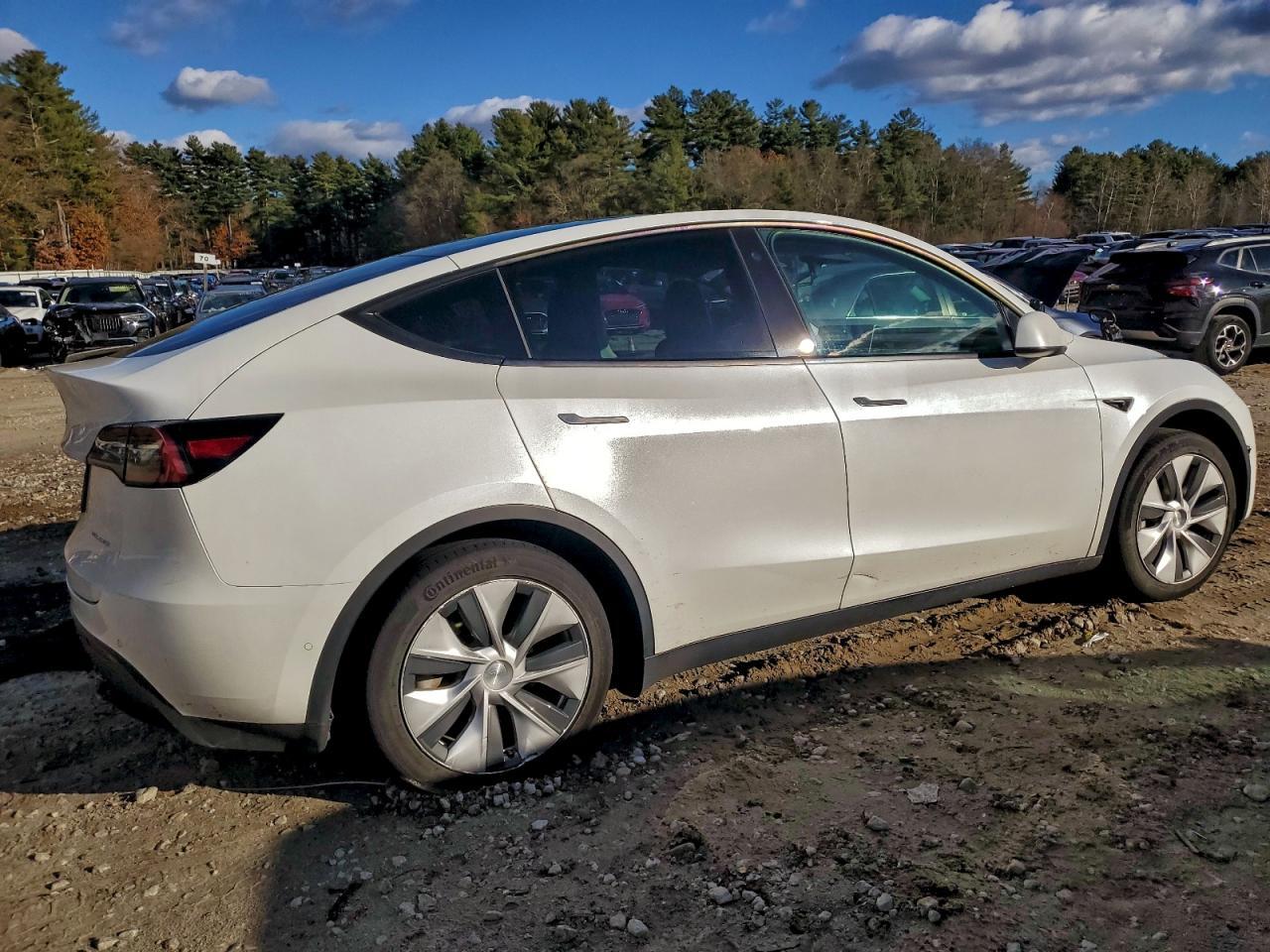 2022 Tesla Model Y - Фото 3