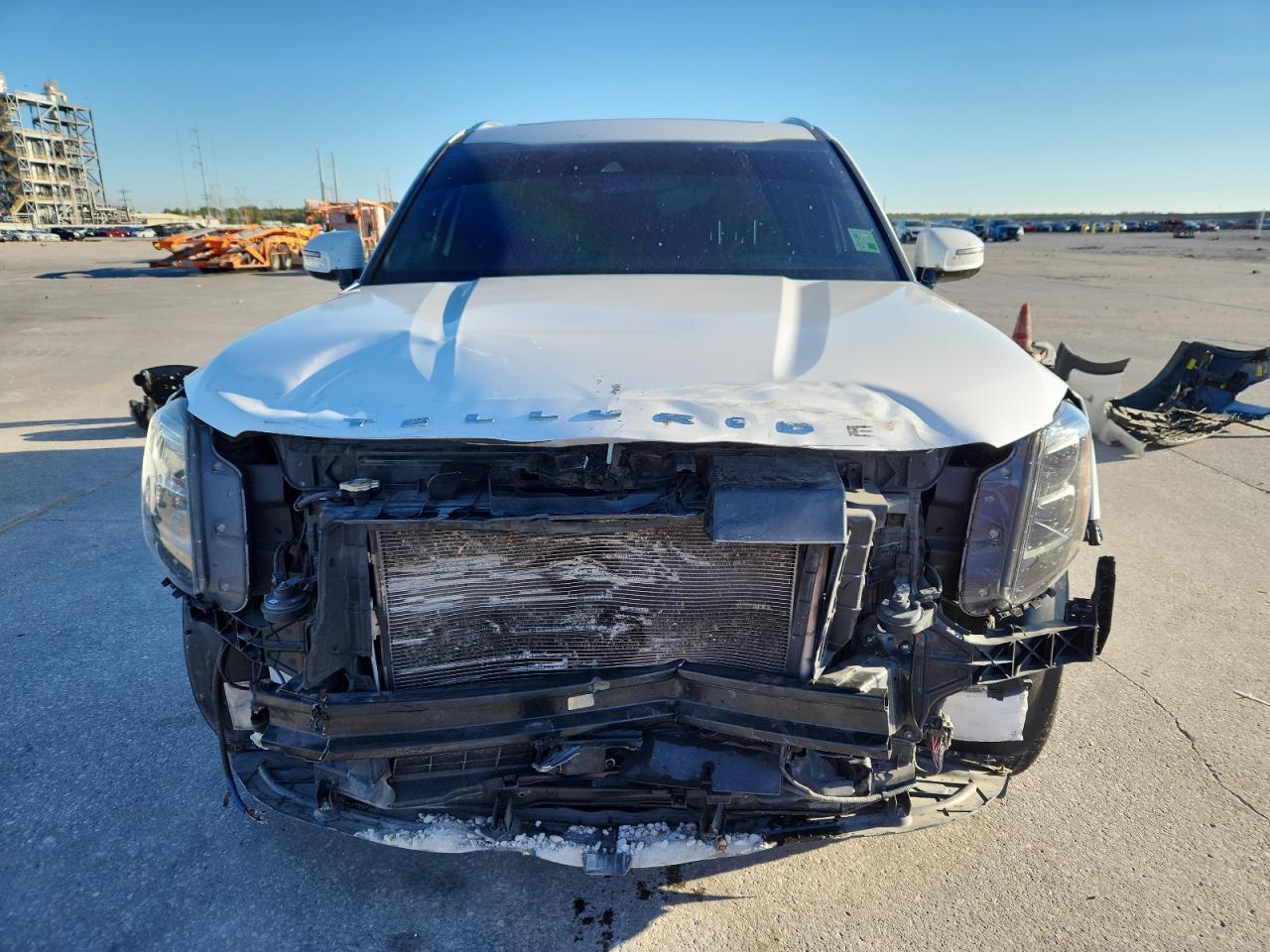 2020 Kia Telluride Sx - Фото 5