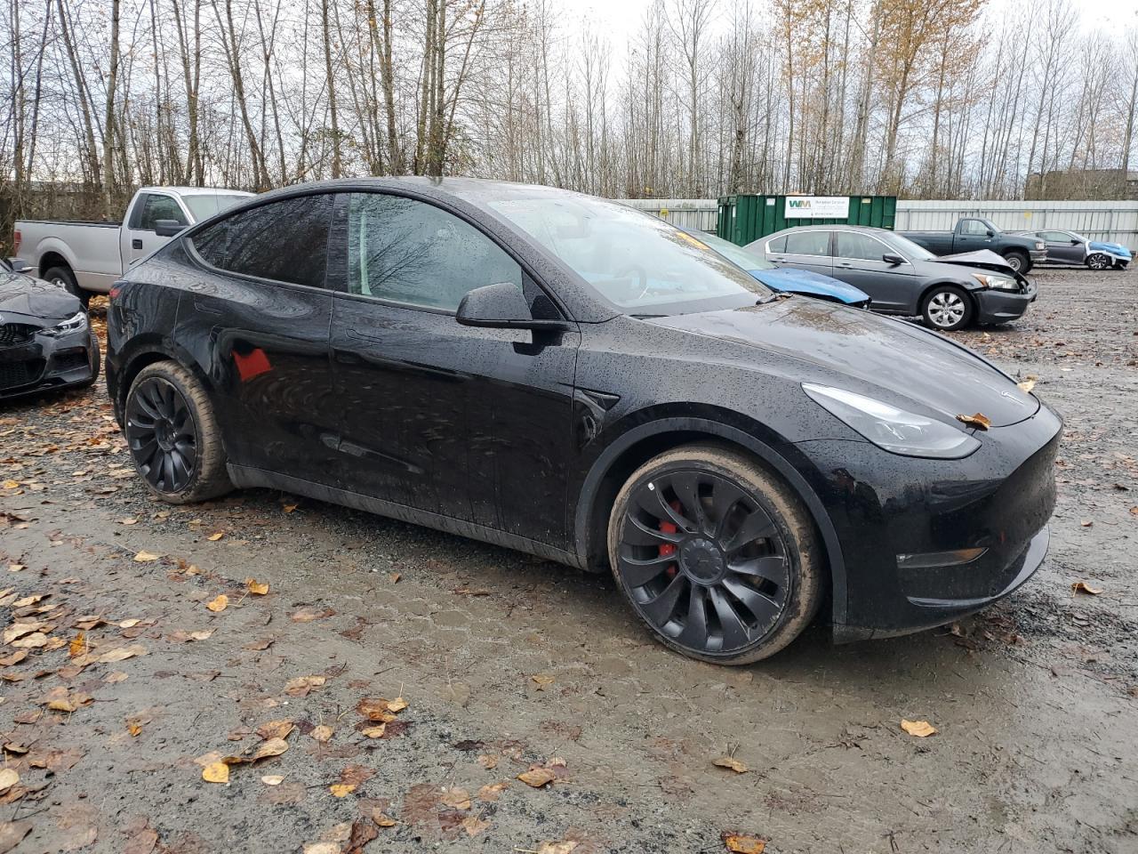 2023 Tesla Model Y - Image 4