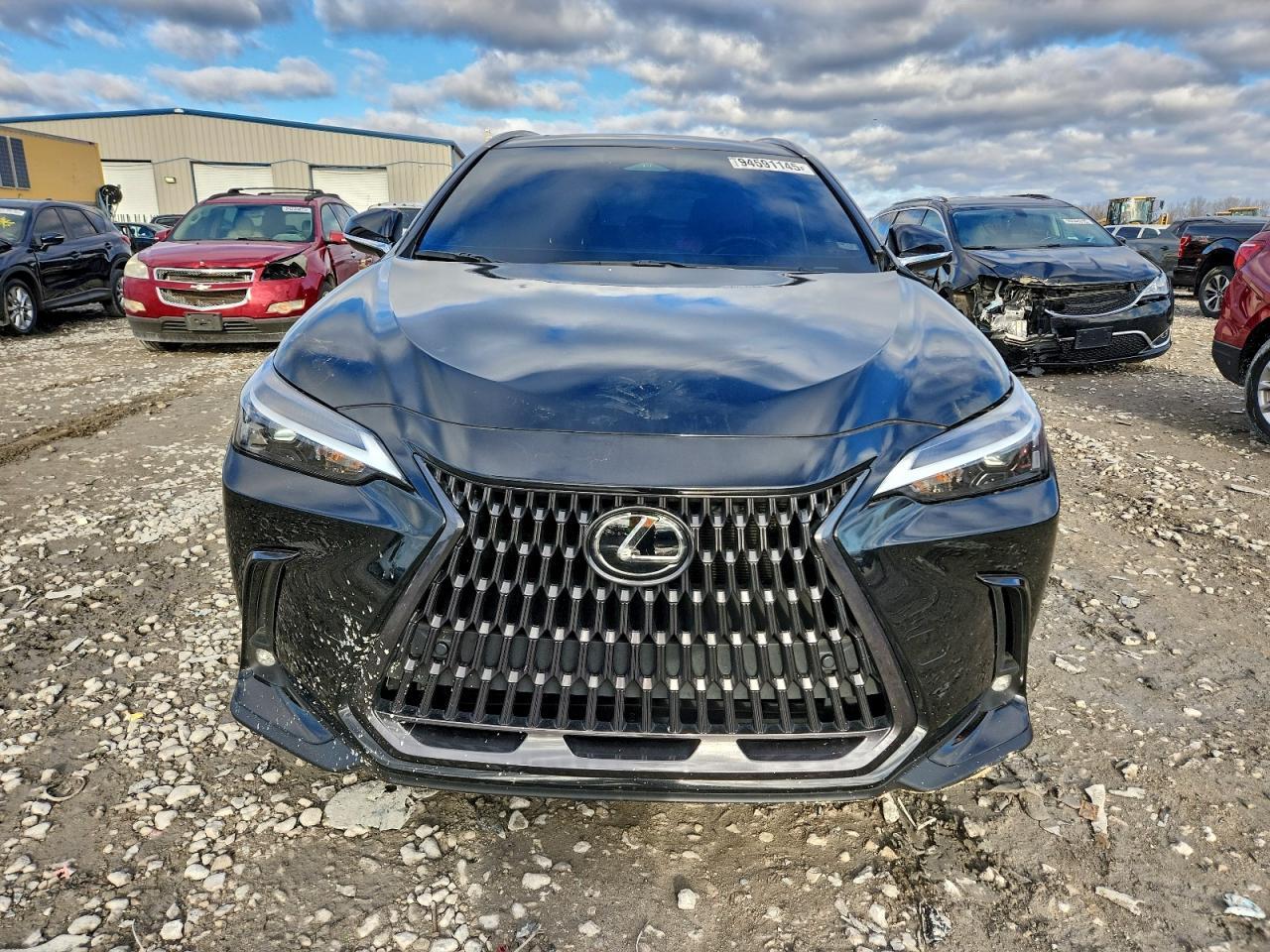 2024 Lexus Nx 350 Premium - Фото 5