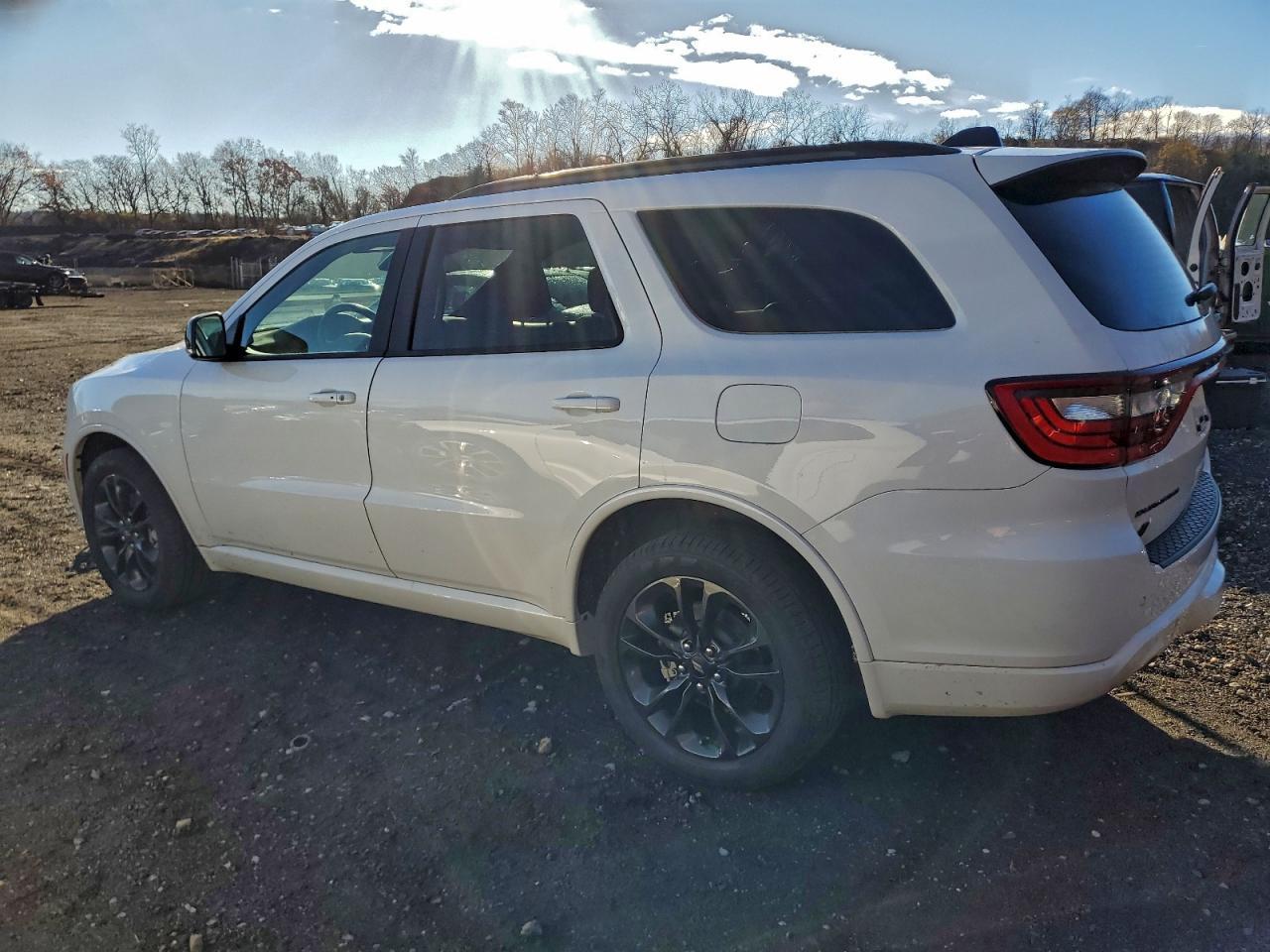 2024 Dodge Durango Gt - Фото 2