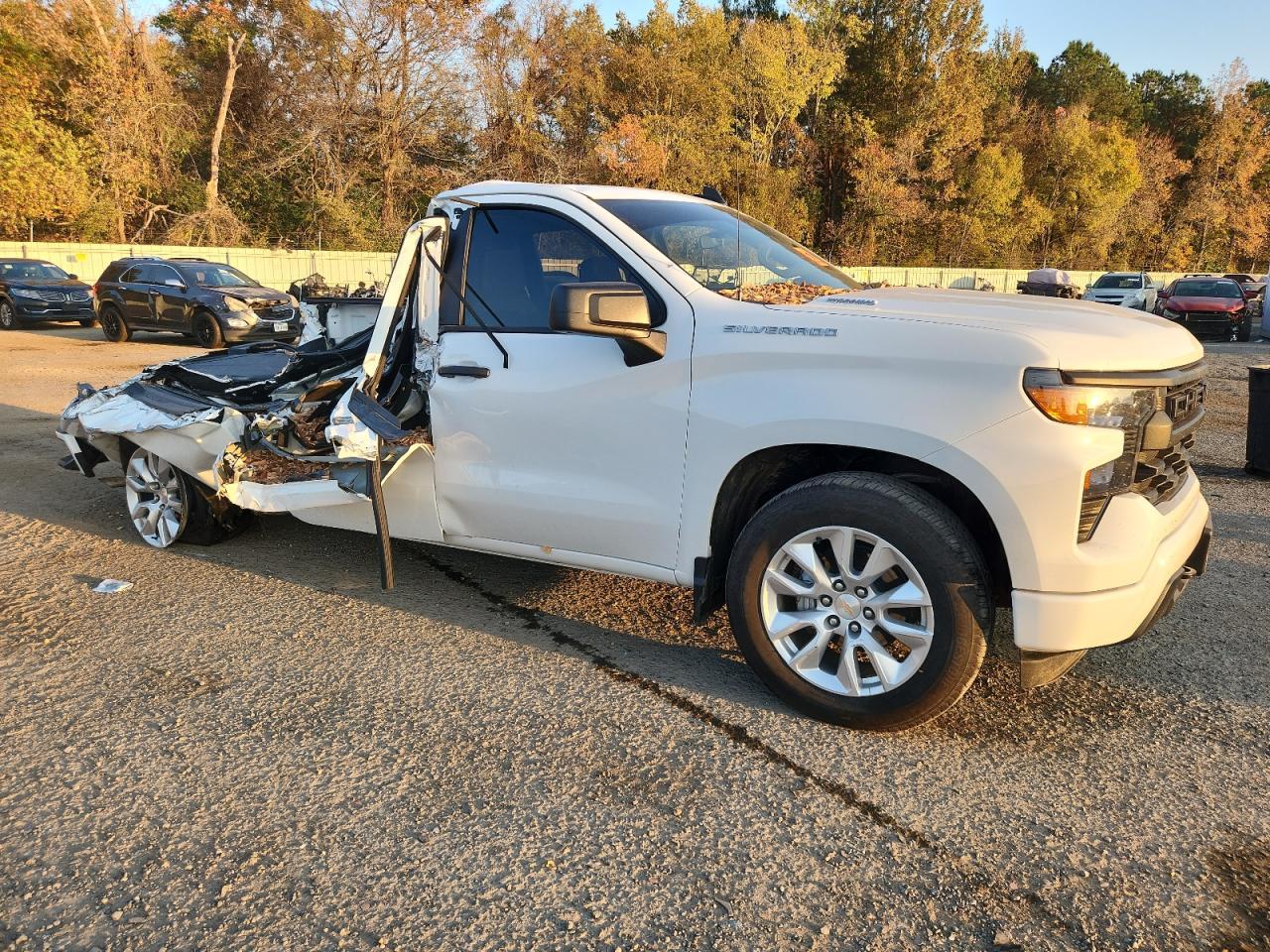 2025 Chevrolet Silverado C1500 Custom - Фото 4
