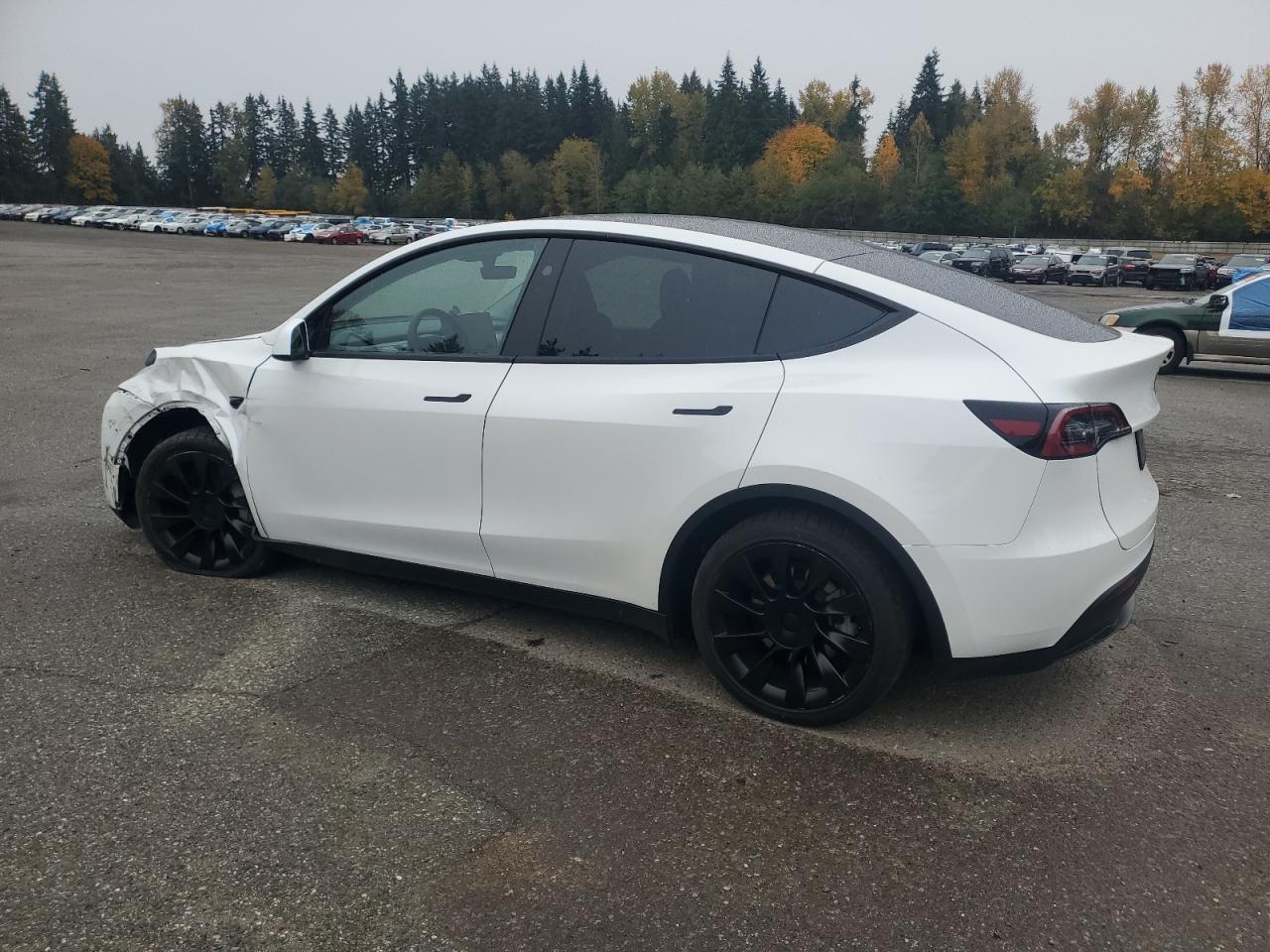 2024 Tesla Model Y - Image 2