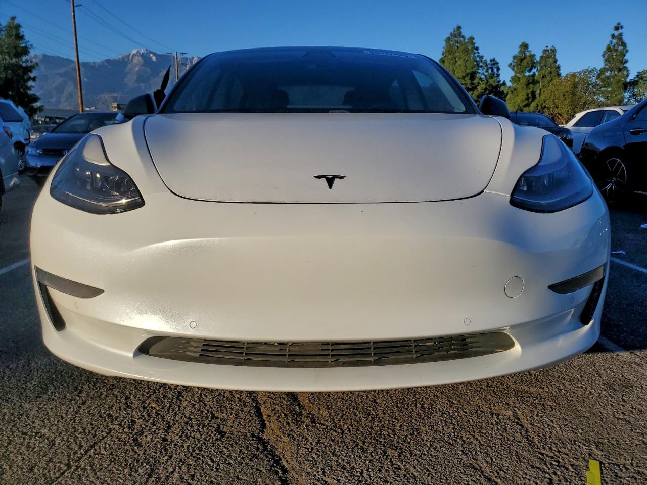 2021 Tesla Model 3 - Фото 5