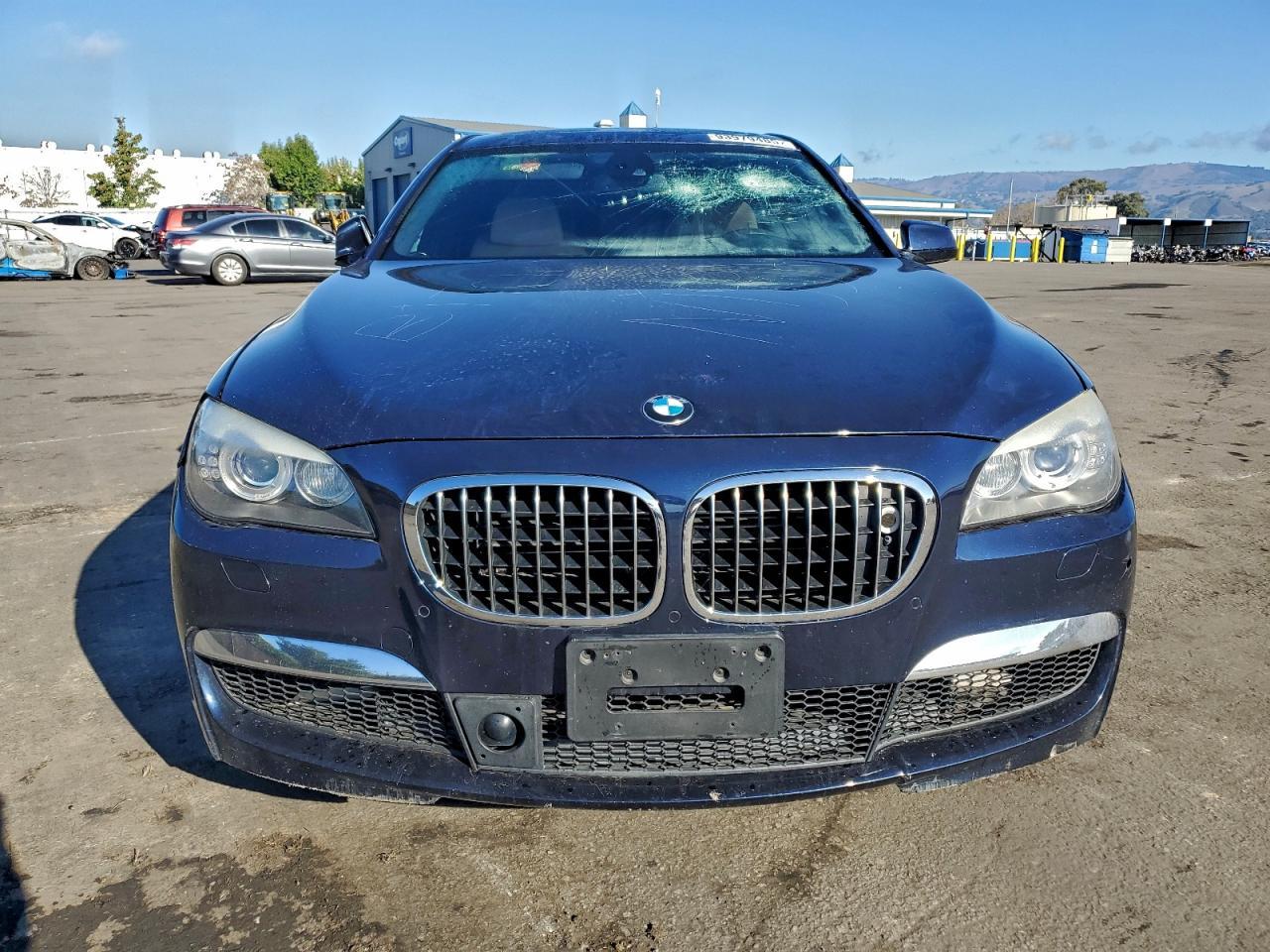 2010 BMW 750 Li xDrive - Image 5