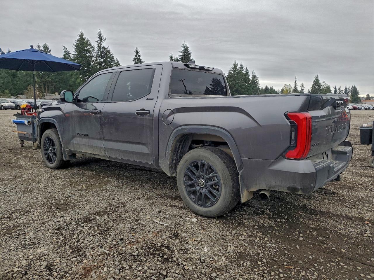 2024 Toyota Tundra Crewmax Limited - Фото 2