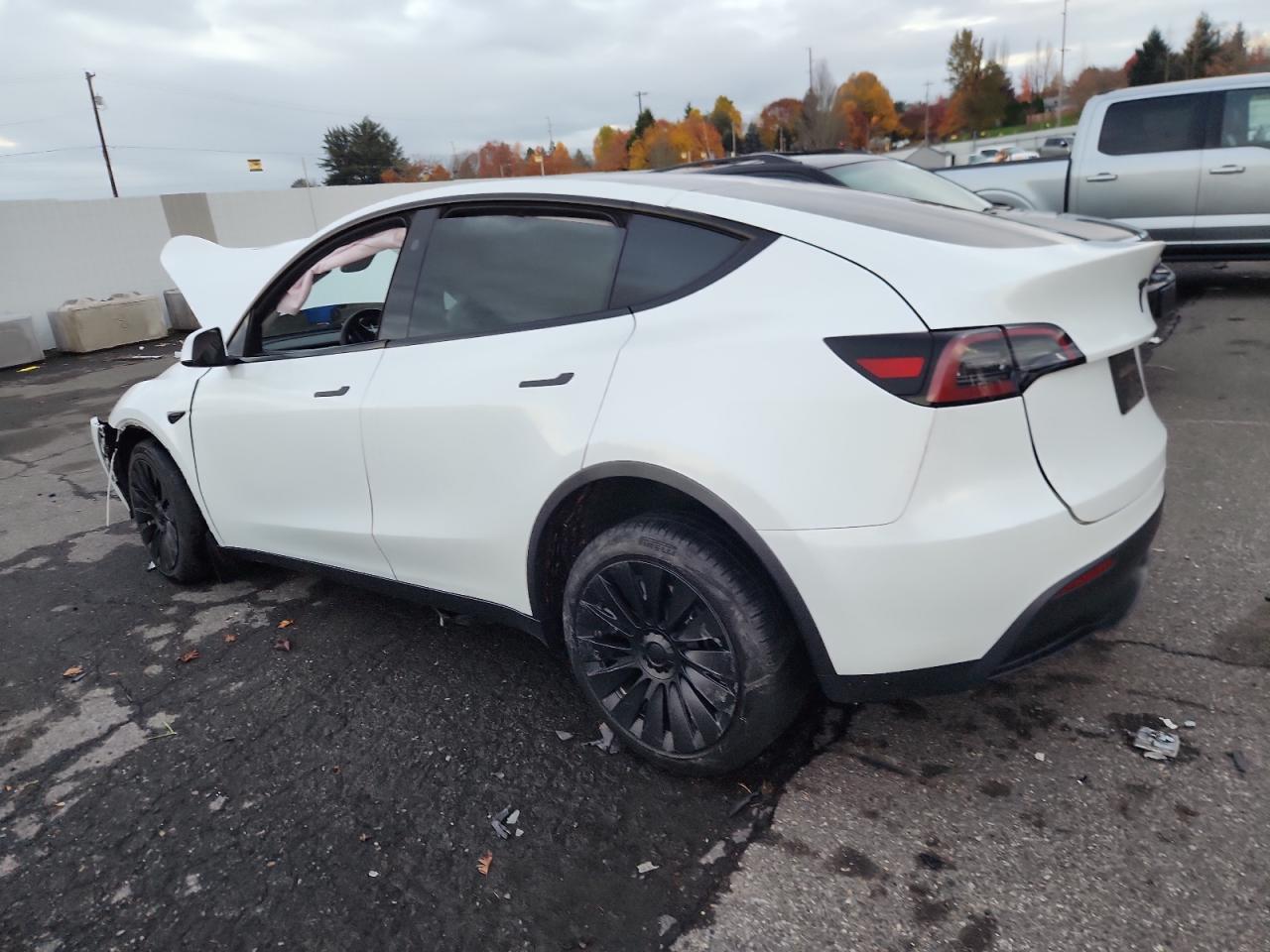 2023 Tesla Model Y - Фото 2