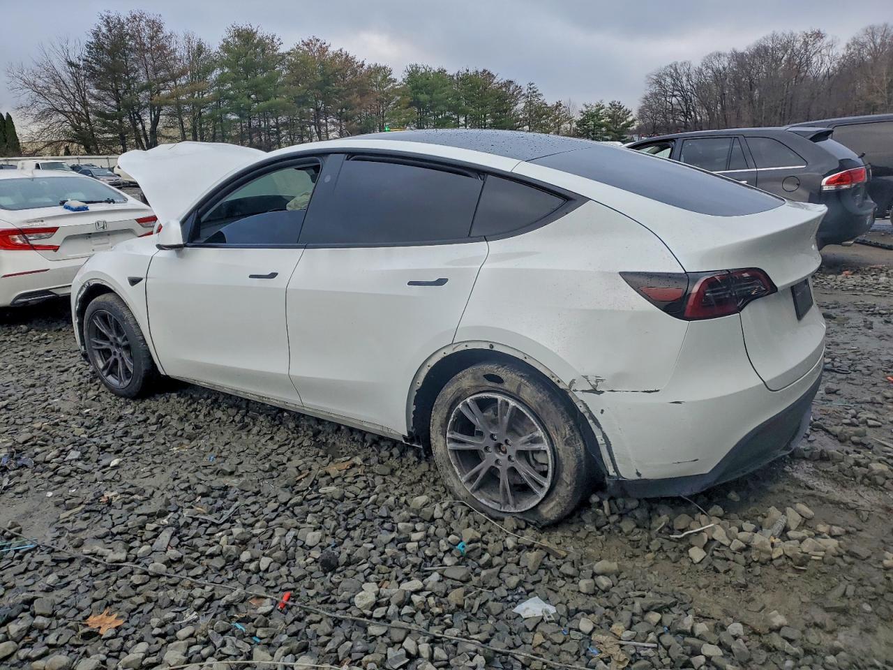 2025 Tesla Model Y - Фото 2