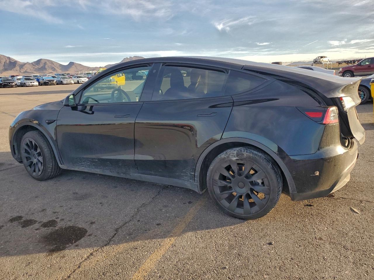 2022 Tesla Model Y - Фото 2