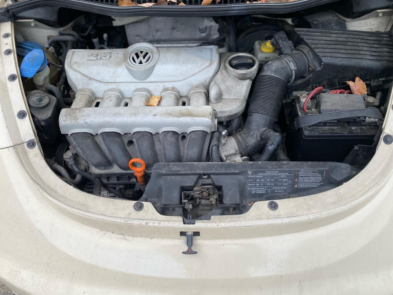 2009 Volkswagen New Beetle S - Image 7